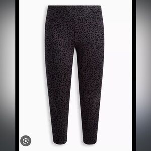 Torrid Pixie Pull on Velvet Leopard print leggingsgs